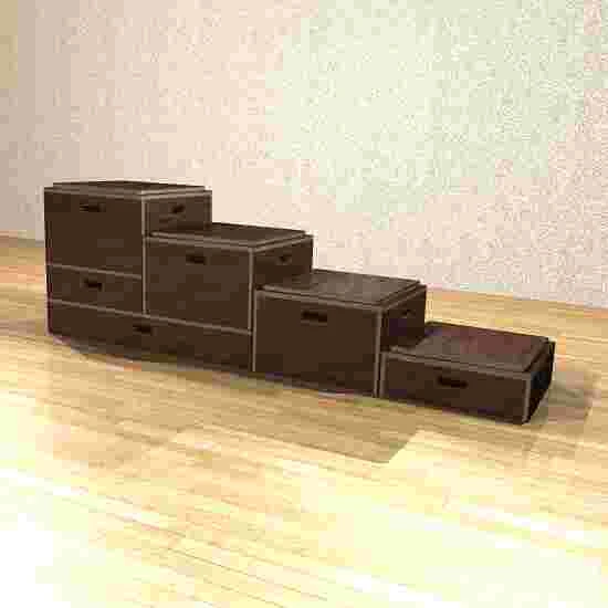 Sport-Thieme Combi Plyo Box Set 3 Sport-Thieme Combi Plyo Box Set - Image 3