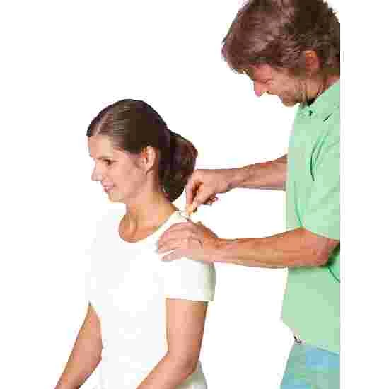 Pedalo Fascia Sticks 1 Pedalo Fascia Sticks