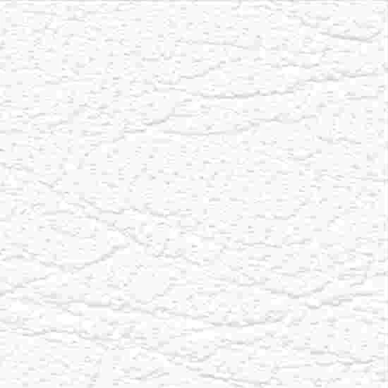 Sport-Thieme Exercise/Massage Roll 2 Sport-Thieme Exercise/Massage Roll - Image 2