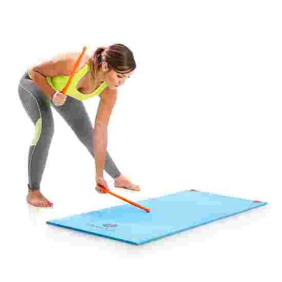 Fit-Sticks 1 Fit-Sticks