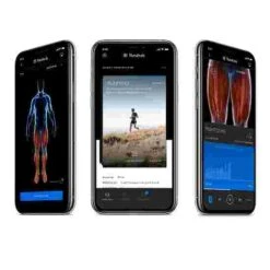 Theragun "Prime" Percussion Massage Device -Professional Fitness Equipment Store 298 4009 7