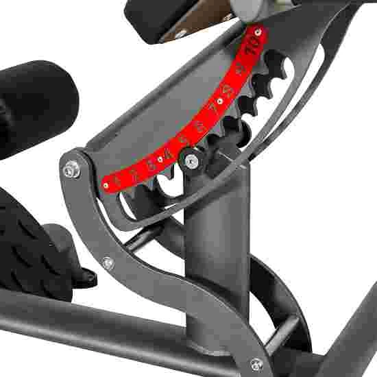 Sport-Thieme "OV" Back Extension Bench 2 Sport-Thieme "OV" Back Extension Bench - Image 2