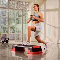 Reebok "Original" Step 23 Reebok "Original" Step -Professional Fitness Equipment Store 311 9600 7