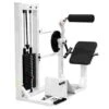 Sport-Thieme "SQ" Back Extension Machine